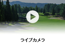 ライブカメラ